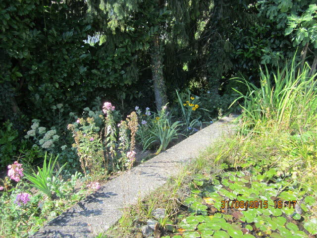 IMG_1642_1